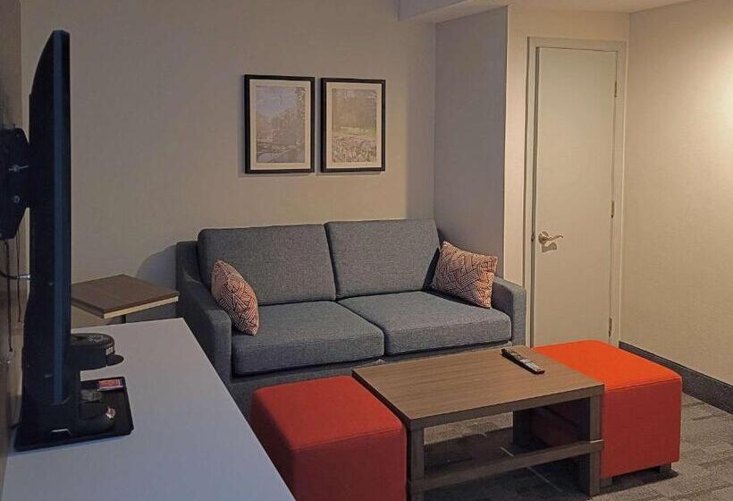 适合残疾人士使用的带超级大床的标准间, Comfort Inn & Suites Wyomissing Reading