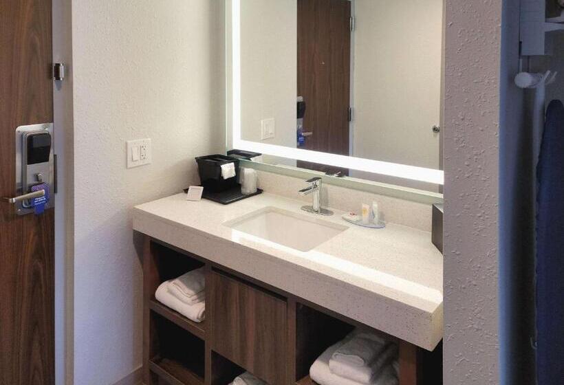 Номер Стандарт Адаптированный для Инвалидов, Comfort Inn & Suites Wyomissing Reading