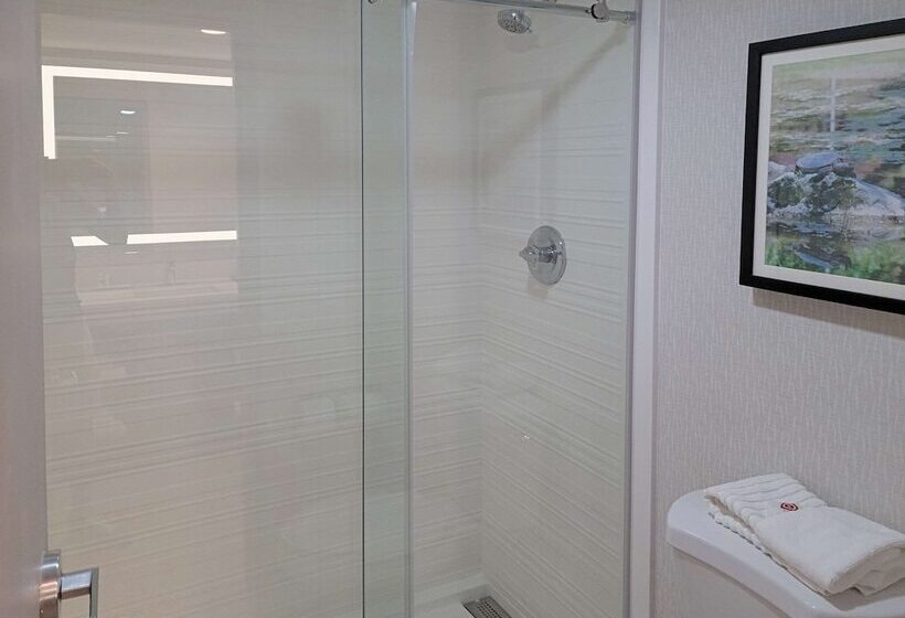 Номер Стандарт 2 Двуспальные Кровати, Comfort Inn & Suites Wyomissing Reading