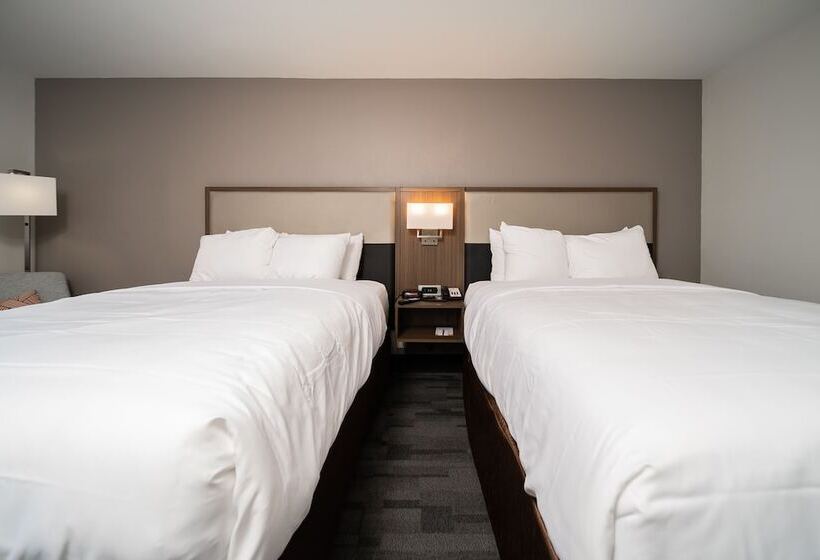 Номер Стандарт 2 Двуспальные Кровати, Comfort Inn & Suites Wyomissing Reading