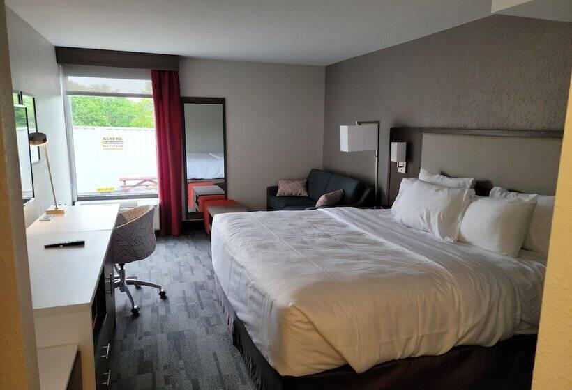 Люкс, Comfort Inn & Suites Wyomissing Reading