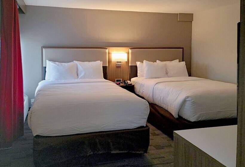 Люкс, Comfort Inn & Suites Wyomissing Reading