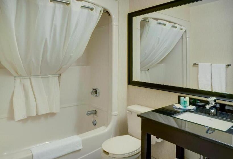 Стандартный Номер Нижний Этаж, Comfort Inn Thetford Mines