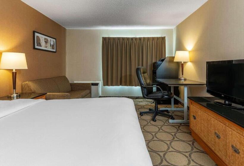 Номер Deluxe, Comfort Inn Thetford Mines