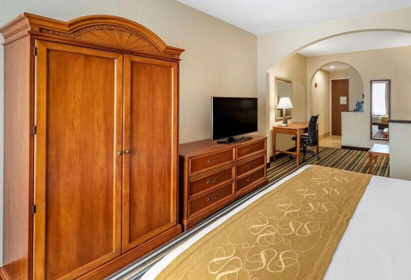 스위트 킹사이즈 침대, Comfort Suites Chesapeake  Norfolk