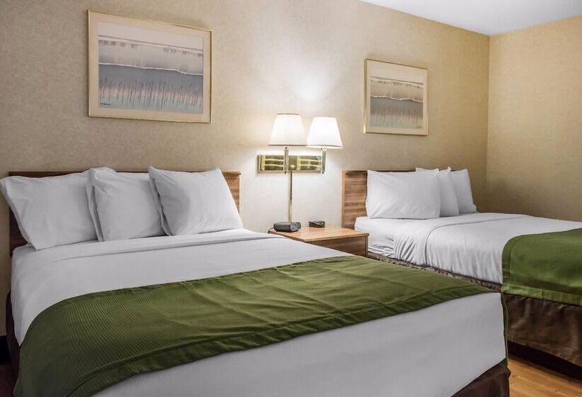 스탠다드 룸 더블 침대 2개, Quality Inn Arena