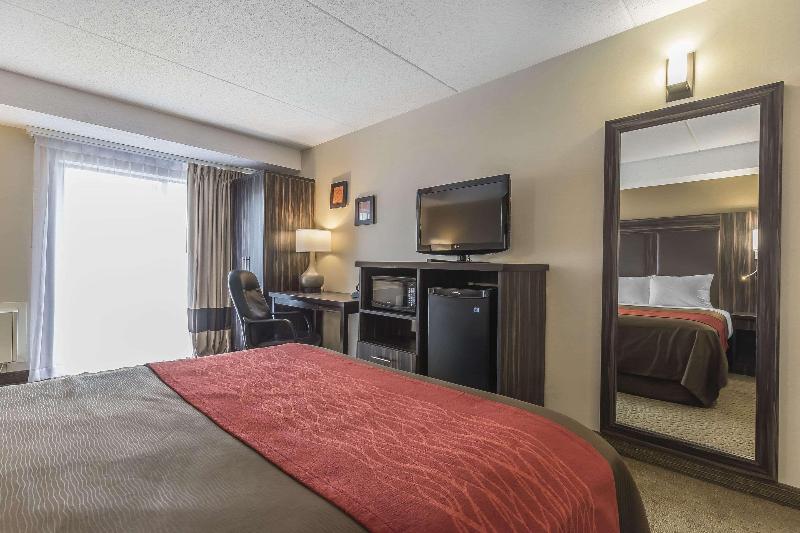 스탠다드 룸 퀸사이즈 침대, Comfort Inn  Trenton