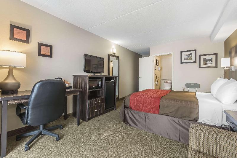 스탠다드 룸 퀸사이즈 침대, Comfort Inn  Trenton