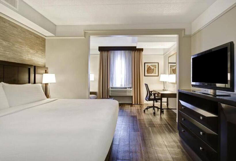 Standardrum King Size Säng, Holiday Inn & Suites Windsor Ambassador Bridge By Ihg