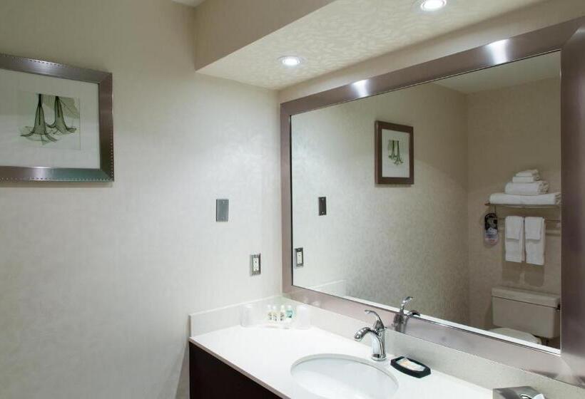 キングサイズベッドのスタンダードルーム, Holiday Inn & Suites Windsor Ambassador Bridge By Ihg