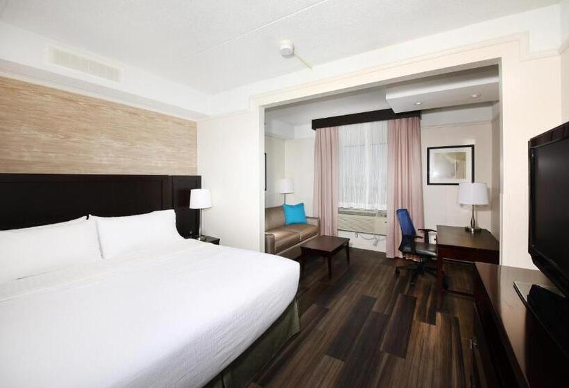 Standardrum King Size Säng, Holiday Inn & Suites Windsor Ambassador Bridge By Ihg