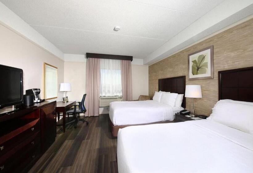 Standardrum, Holiday Inn & Suites Windsor Ambassador Bridge By Ihg