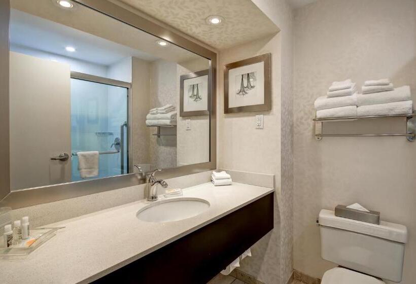 身障者適用スタンダードルーム, Holiday Inn & Suites Windsor Ambassador Bridge By Ihg