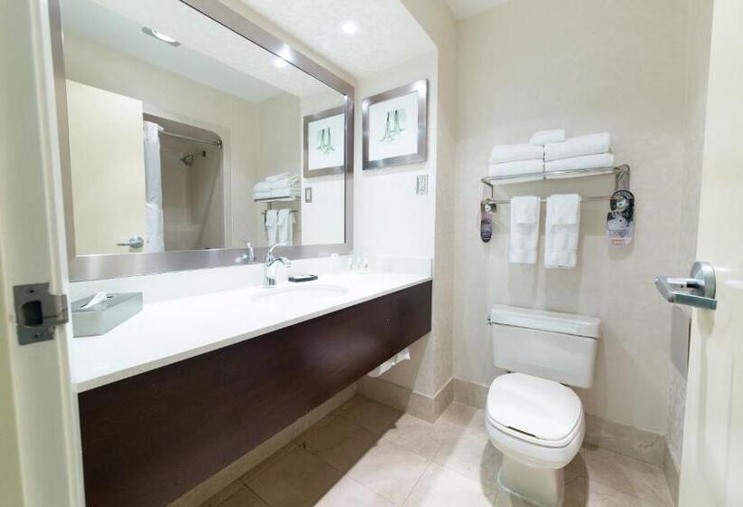 キングサイズベッドのスイートルーム, Holiday Inn & Suites Windsor Ambassador Bridge By Ihg