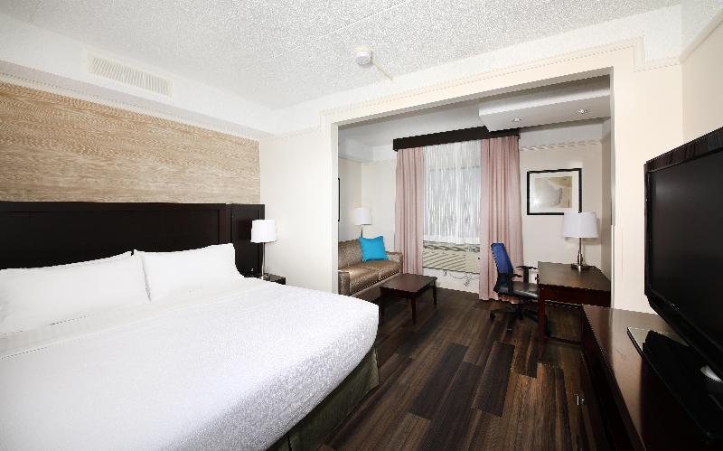 キングサイズベッドのスタンダードルーム, Holiday Inn & Suites Windsor Ambassador Bridge By Ihg