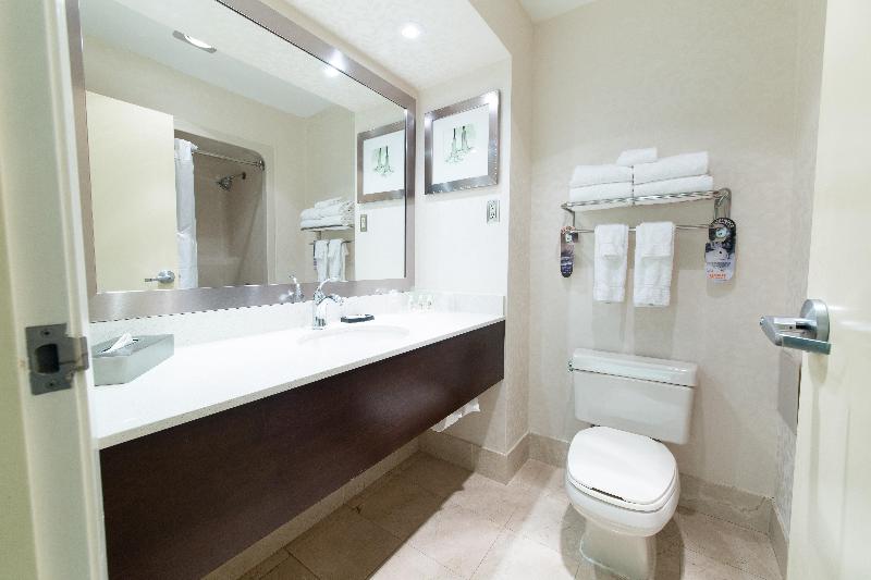 Standardrum, Holiday Inn & Suites Windsor Ambassador Bridge By Ihg