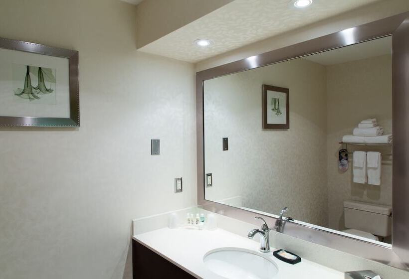 Standardrum, Holiday Inn & Suites Windsor Ambassador Bridge By Ihg