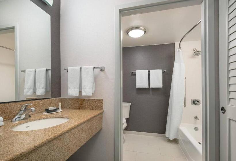 장애인을 위한 킹사이즈 침대 스탠다드 룸, Courtyard By Marriott Pleasanton