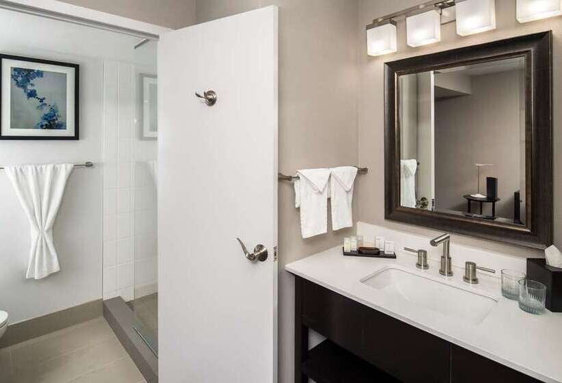디럭스 스위트 킹 침대, Embassy Suites By Hilton Temecula Valley Wine Country