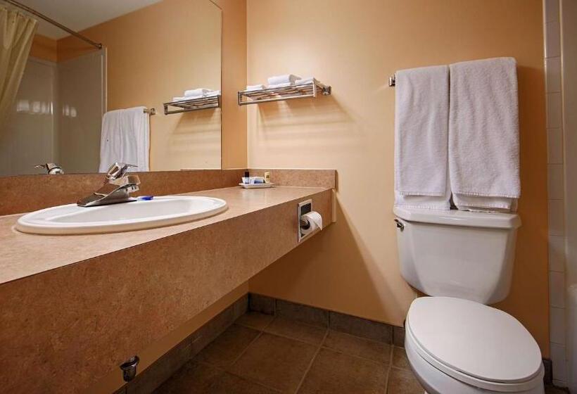 Стандартный Номер Кровать Кинг, Best Western Of Olds
