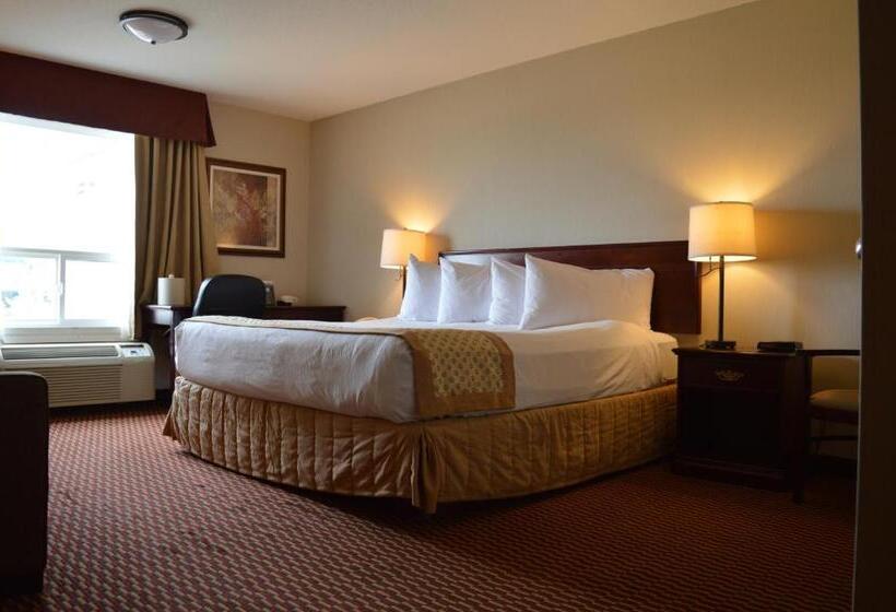 Номер Стандарт, Best Western Of Olds