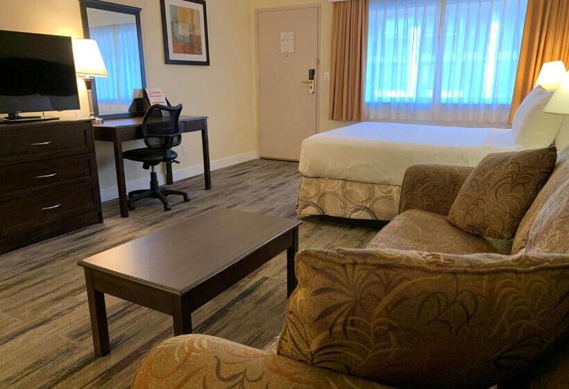 Номер Стандарт, Best Western Plus Burnaby