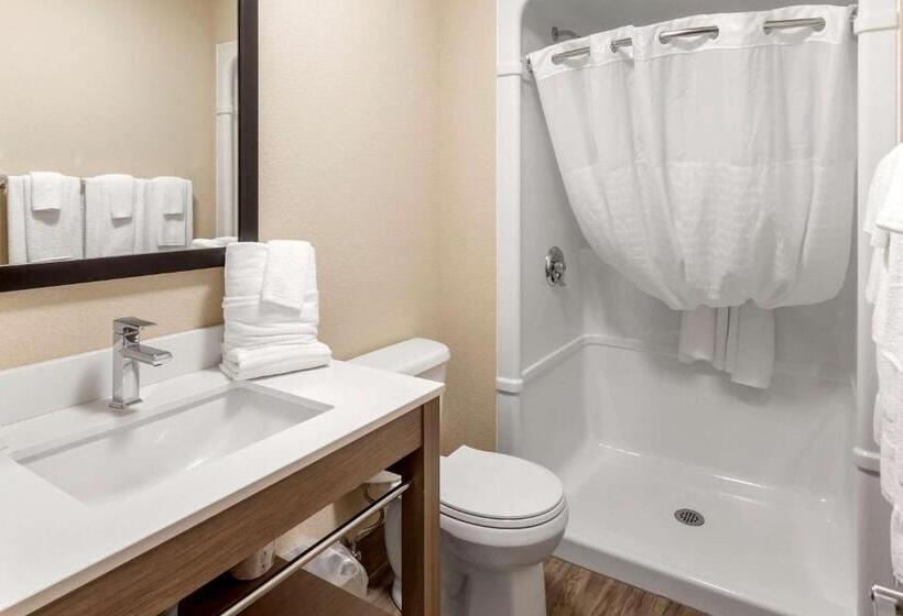 Номер бизнес-класса, Comfort Inn & Suites Thousand Islands Harbour District
