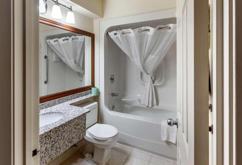 Стандартный Номер Кровать Кинг, Surestay Plus Hotel By Best Western Kincardine