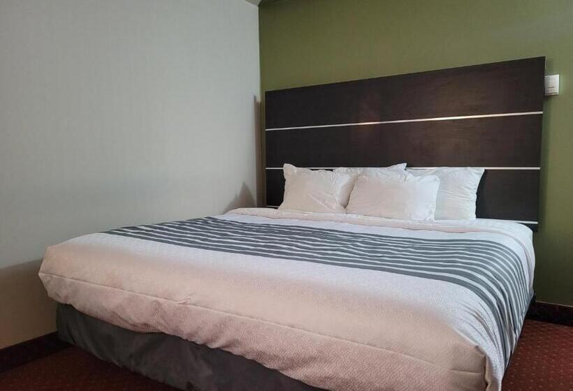Стандартный Номер Кровать Кинг, Surestay Plus Hotel By Best Western Kincardine