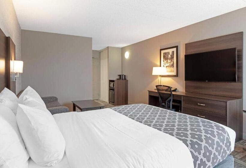 Номер Стандарт, Best Western Milton