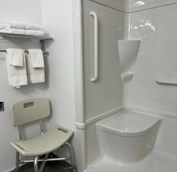 Номер Стандарт Кровать Кинг Адаптированный для Инвалидов, Surestay Plus By Best Western Brooks