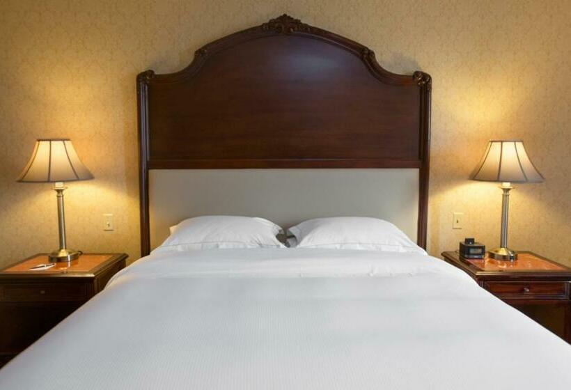 اتاق سوپریور با تخت بزرگ, Barcelo San Salvador