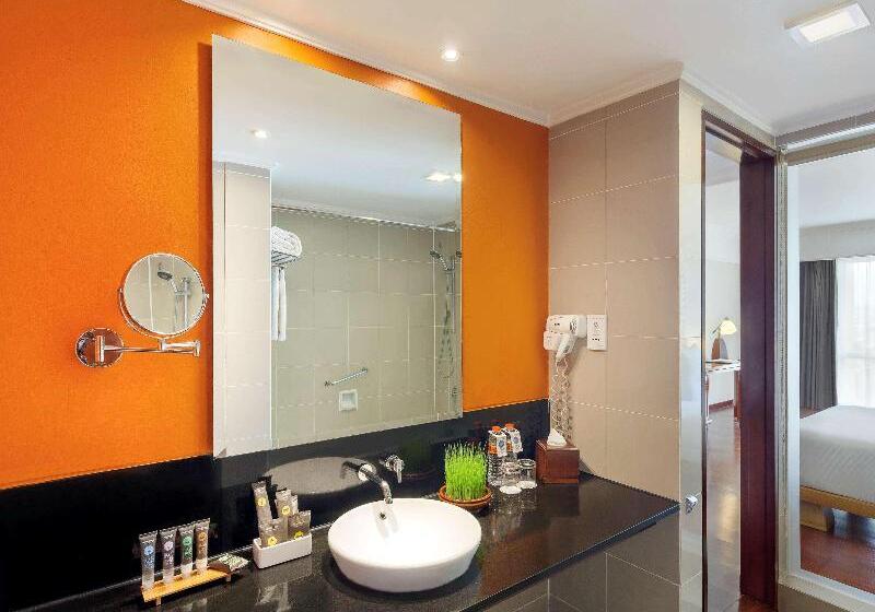 Студия Deluxe, Citadines Wilson Toulouse