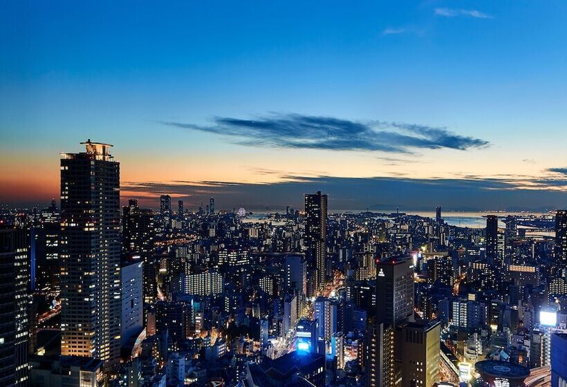 سوییت اجرایی, The Ritzcarlton, Osaka