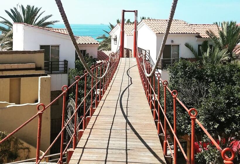 スタンダードルーム, Festival Plaza Playas Rosarito