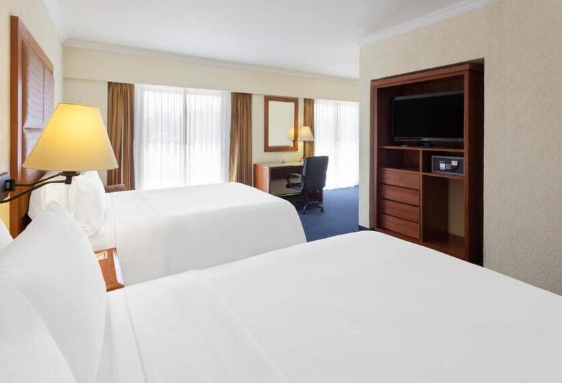سوییت جونیور, Holiday Inn Express Oaxaca   Centro Historico, An Ihg