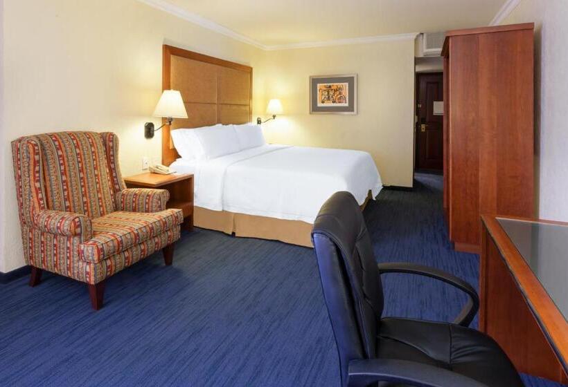 اتاق استاندارد با تخت بزرگ, Holiday Inn Express Oaxaca   Centro Historico, An Ihg