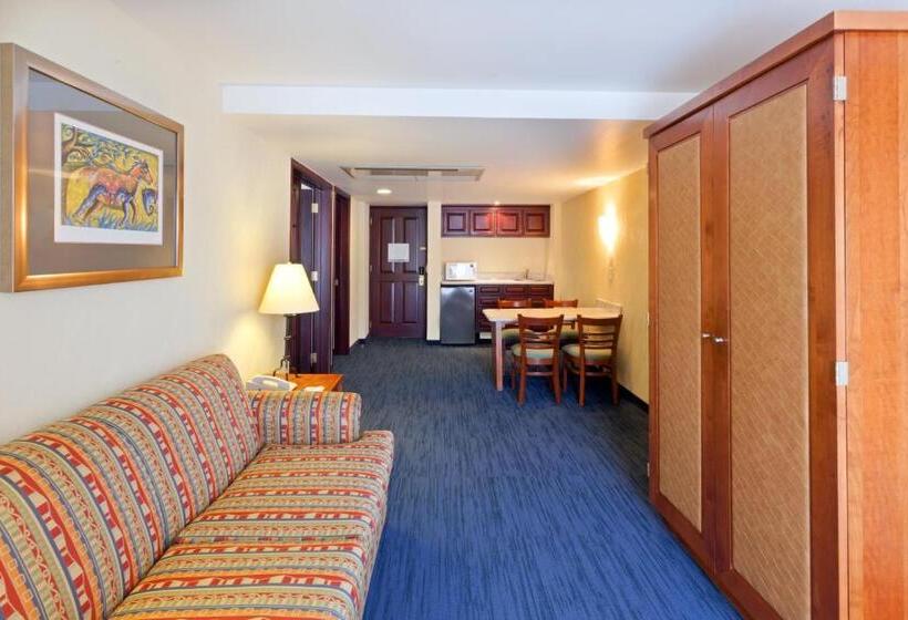 سوئیت با تخت بزرگ, Holiday Inn Express Oaxaca   Centro Historico, An Ihg