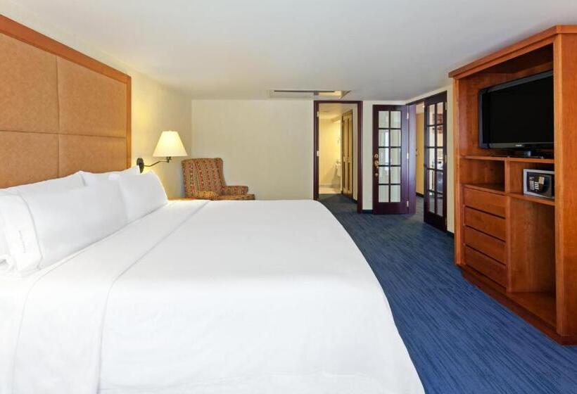 سوئیت با تخت بزرگ, Holiday Inn Express Oaxaca   Centro Historico, An Ihg