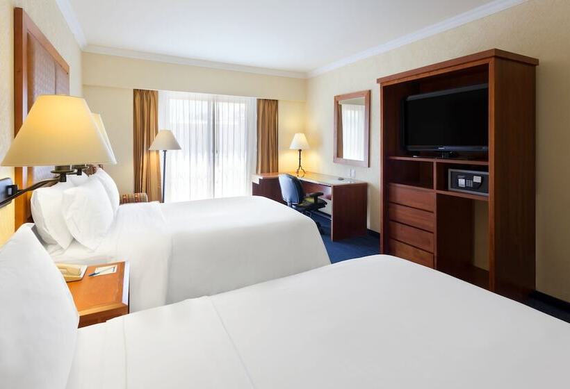 اتاق استاندارد, Holiday Inn Express Oaxaca   Centro Historico, An Ihg