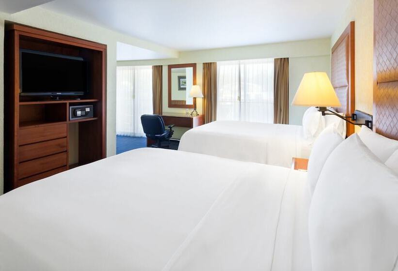 اتاق استاندارد, Holiday Inn Express Oaxaca   Centro Historico, An Ihg