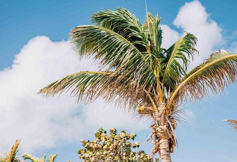 اتاق خانوادگی با چشم‌انداز دریا, Sorobon Luxury Beach Resort