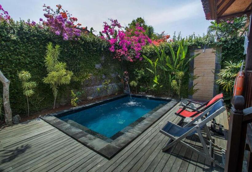 ویلای یک اتاق خوابه با استخر شنا, Sunset Garden Nusa Lembongan