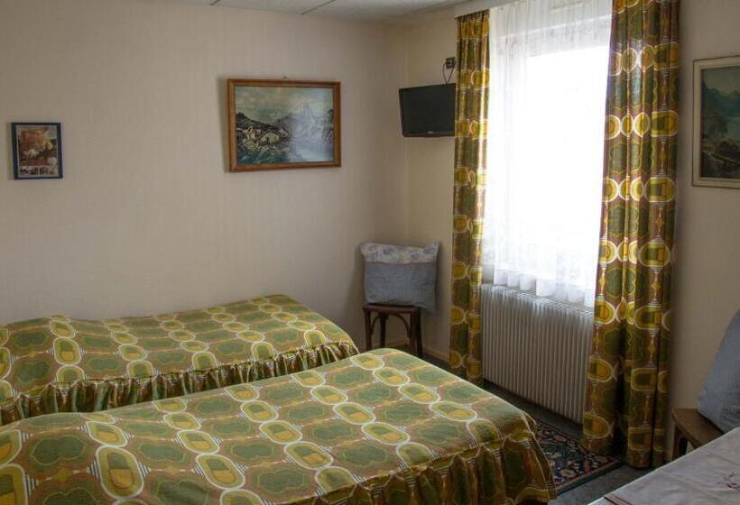 Номер Стандарт, Hôtel De Bâle