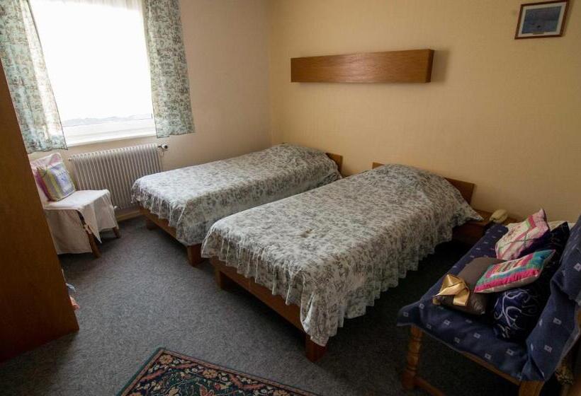 Номер Стандарт, Hôtel De Bâle