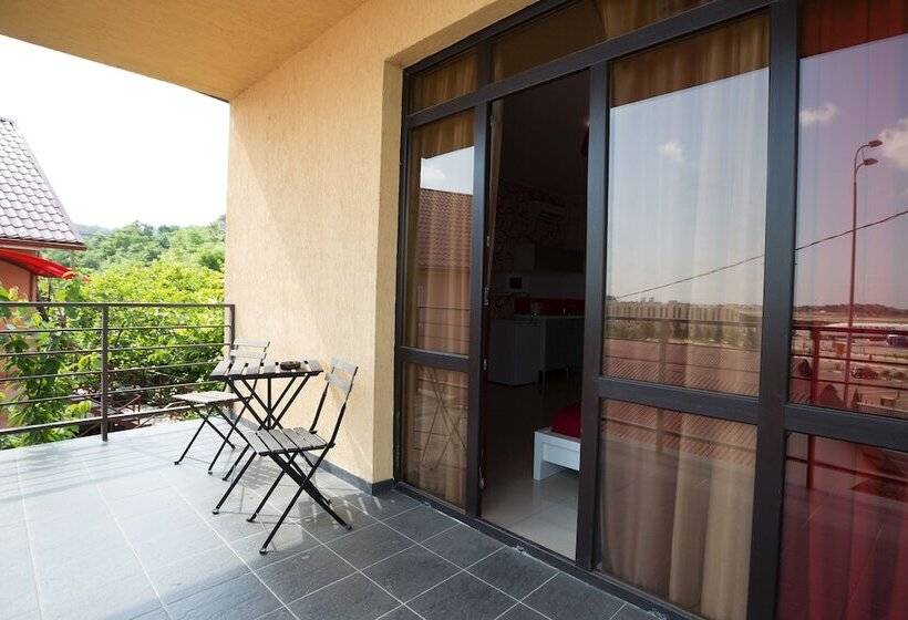 标准间, Amosov S House