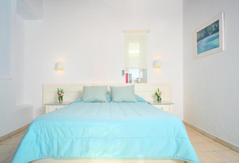 اتاق استاندارد با چشم‌انداز دریا, Mykonos Beach
