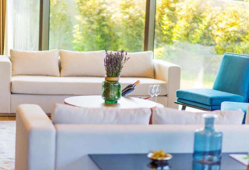 سوئیت با تخت بزرگ, Reges, A Luxury Collection Resort & Spa, Cesme