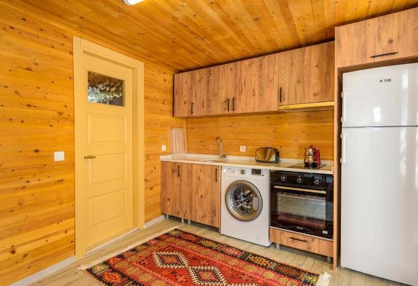 بانگلوی لوکس, Anatolian Apartments