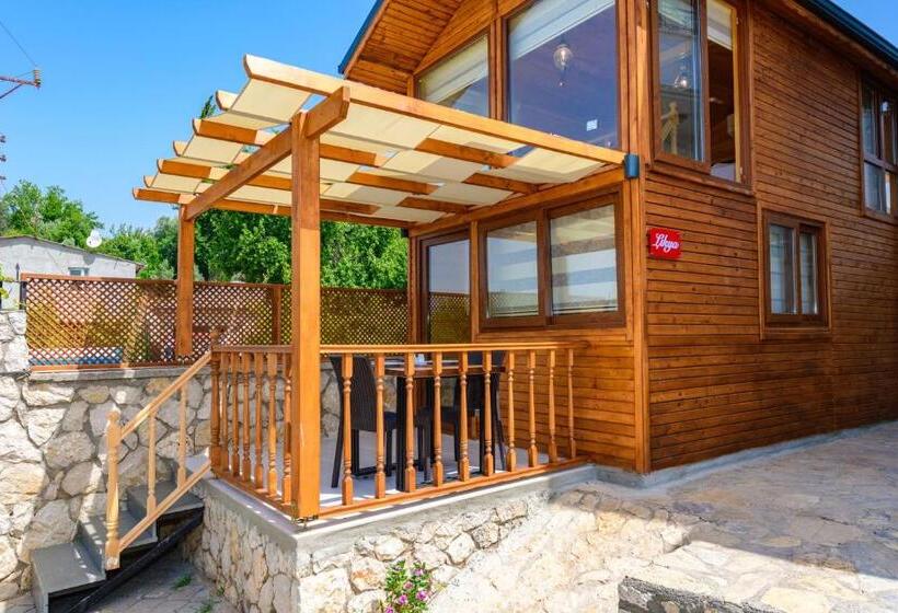 ویلای استاندارد با چشم‌انداز باغ, Anatolian Apartments